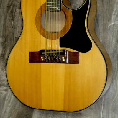 1971 Smith BW-18-P 18-String Cutaway image 1