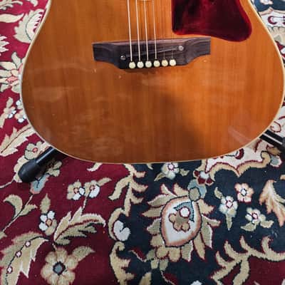 Gibson B-25  - Natural image 2
