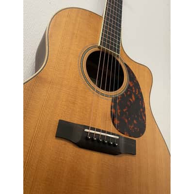 L'Arrivee LV03RE Grand Auditorium Electro Acoustic Guitar with Hardcase Pre-Owned image 8