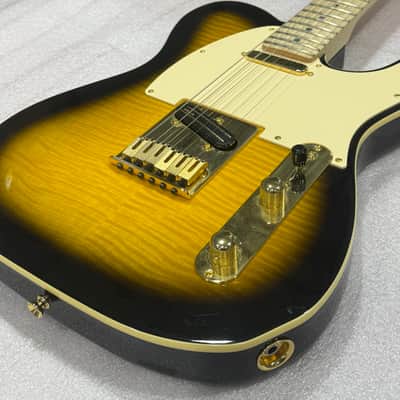 Richie Kotzen Fender Telecaster image 5