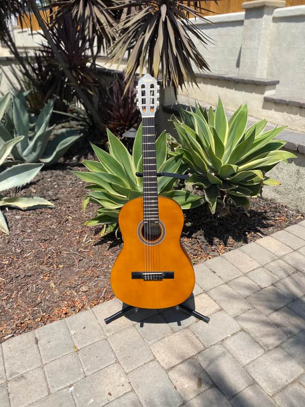 Valencia Classical Guitar image 1