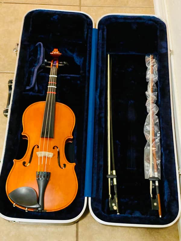 Beautiful Eastman VL115 2017 4/4 Violin image 1