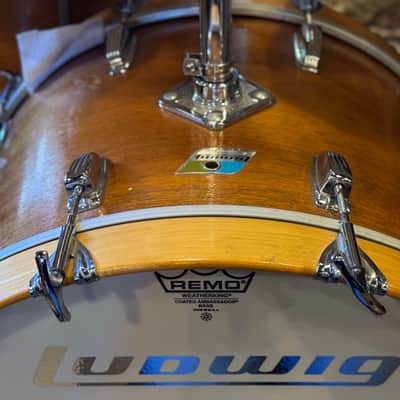 VINTAGE 1970's Ludwig Hollywood Outfit in Natural Mahogany - 14x22, 8x12, 9x13, 16x16 image 13