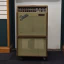 Fender Acoustasonic SFX PR370