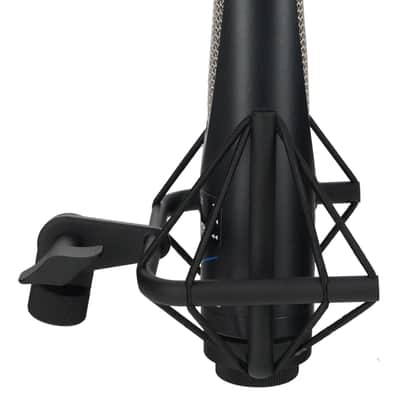 Se Electronics RNR1 Recording Ribbon Microphone+Shockmount+Wooden box+Metal case image 5