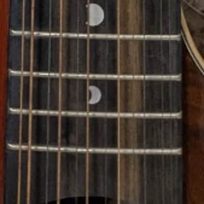 Luna Vista Eagle 12 String  Tropical Wood Acoustic Electric Guitar w/Hard Case image 7