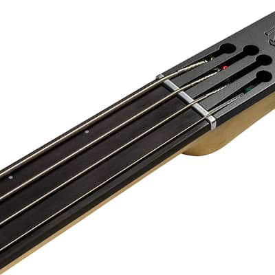CR4 RADIUS Bass Guitar Natural Satin Fretless image 4