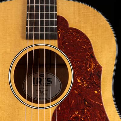 Iris Guitar Company DF Natural image 7
