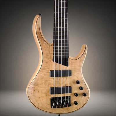 MTD Kingston Z5 Fretless Ebony Fingerboard, Natural Maple Burl Matte image 1