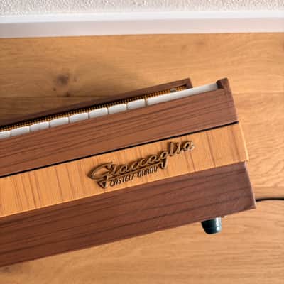 Super Rare Giaccaglia Chord/Reed Organ (Italy, 1960s) – vintage electric organ and harmonium! image 11