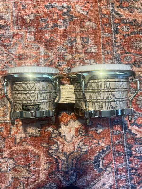 LP Giovanni Galaxy Series Ash Bongos with Gold Tone Hardware image 1