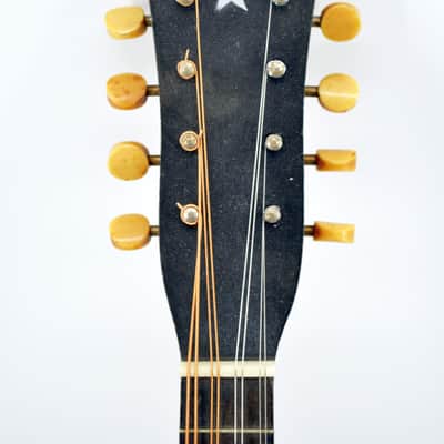 1920s Banjolin - Regal? Mandolin Banjo image 3