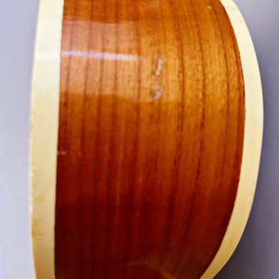 Immagine A Rare Eric Beharrell Baritone ukulele -2007 - 16