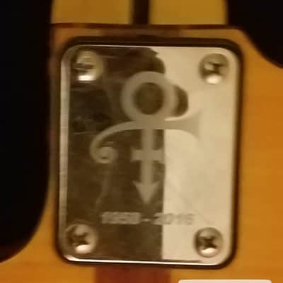 Hohner Madcat Tele Prince Guitar Custom image 4