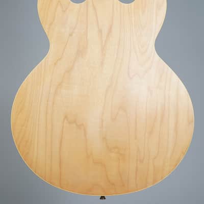 Epiphone Dot NA 2013 - Natural image 5