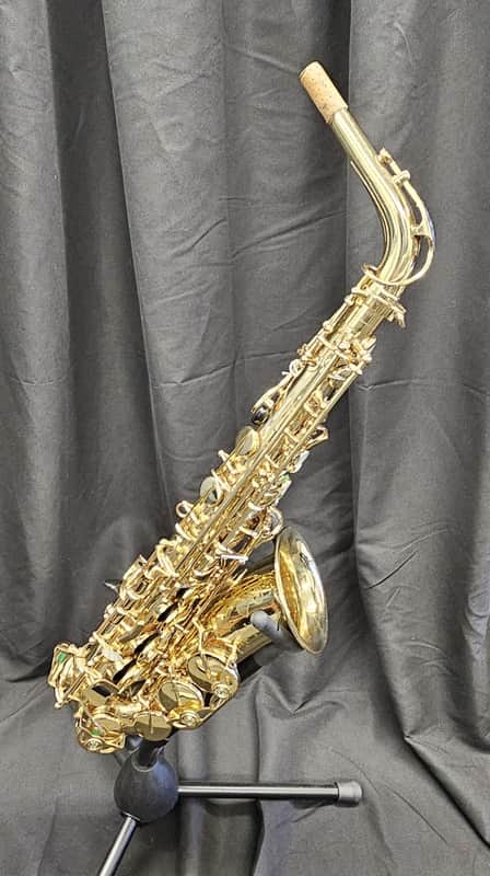 Selmer Paris Super Action 80 Series II Alto Saxophone w/ case image 1