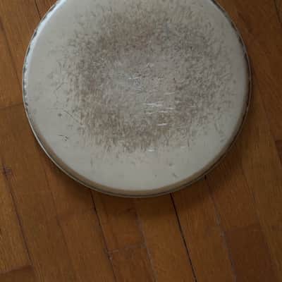 Evans, Remo, Variety of Used Drum Heads Hydraulic, Ambassador, Bass Drum, Fiberskin image 11