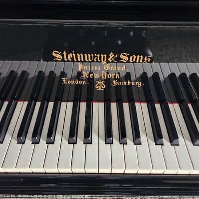 1901 Steinway B Grand Piano Rebuilt by Steinway in 1998 * Free 1st floor Delivery in NJ!* image 16