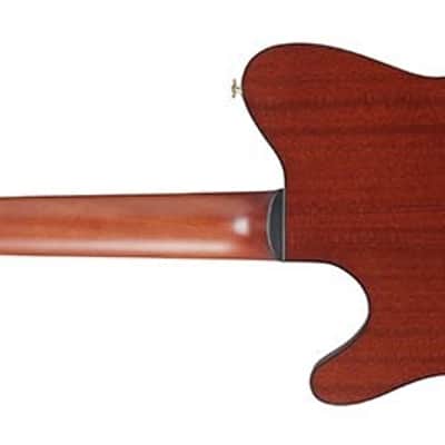 IBANEZ FRH20SMN TCL Tobacco Burst Low Gloss 6-String Classical Electric Guitar image 3