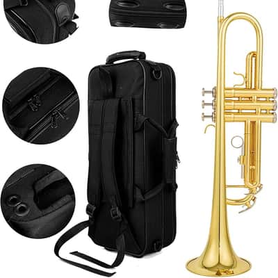 bb trumpet brass b flat trumpet for beginners and intermediate players copper leadpipe gold lacquer finish stainless steel valves phosphorus hard case and accessories included image 2