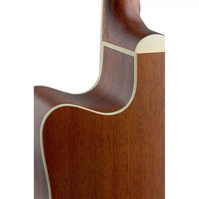 James Neligan ASY-DCE Dreadnought Solid Spruce Top Mahogany Neck 6-String Acoustic-Electric Guitar image 5