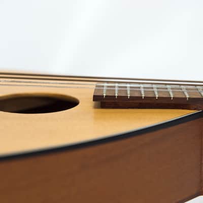 Mid Missouri Mandolin M-1 image 7