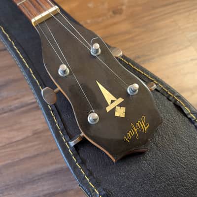 Hofner 5 String Banjo Vintage 1960s 1970s Maple Made In Germany image 11
