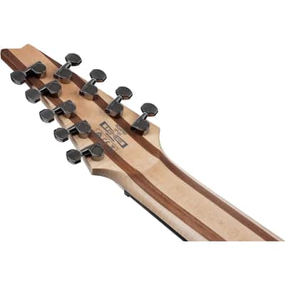Ibanez RG Axe Design Lab RG9PBTGF 9-String Solid Body Electric Guitar with Macassar Ebony Fretboard, Right-Handed, Transparent Gray Flat image 5