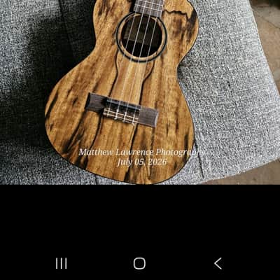 Kala KA-MG-T 2006 Spalted Mango Tenor Ukulele image 10
