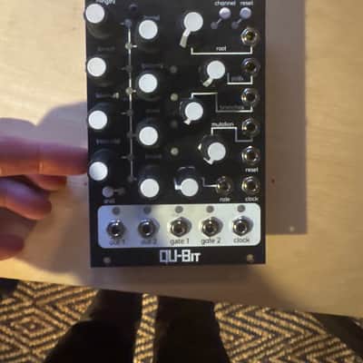 Qu-Bit Electronix Bloom | Reverb