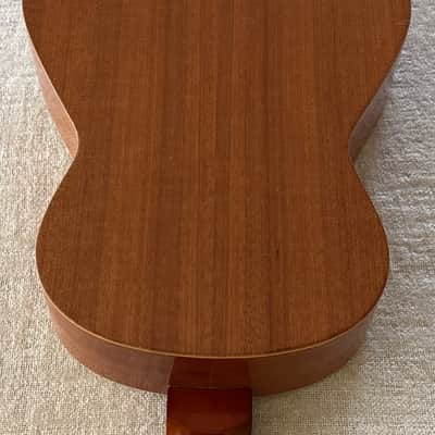 BM Barnes & Mullins Clasico Classical Acoustic Guitar Made in Spain 1960’s-1970’s image 15