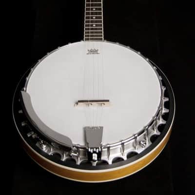 Washburn 5-String Americana B9 Series Resonator Banjo image 5