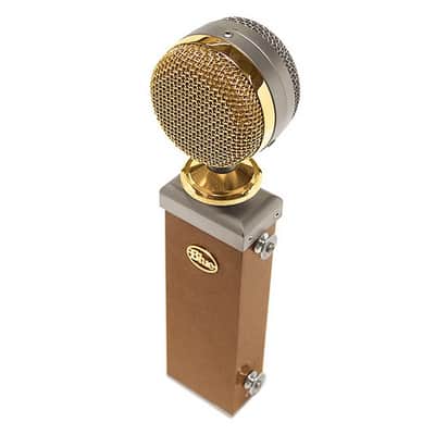 Blue Cactus | Reverb