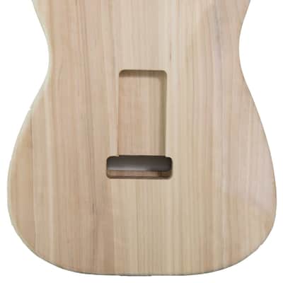 Body Stratocaster Pioppo Canadese image 3
