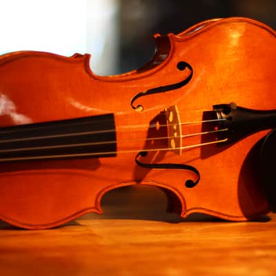 Haddon Brown Violin 4/4 - Sleeping Beauty Stradivari Model image 11
