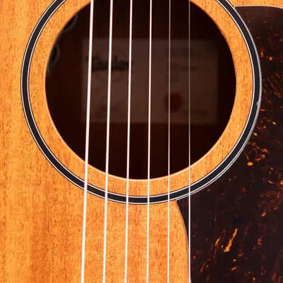 Taylor 24ce Grand Auditorium Acoustic/Electric Guitar with Gig Bag image 10