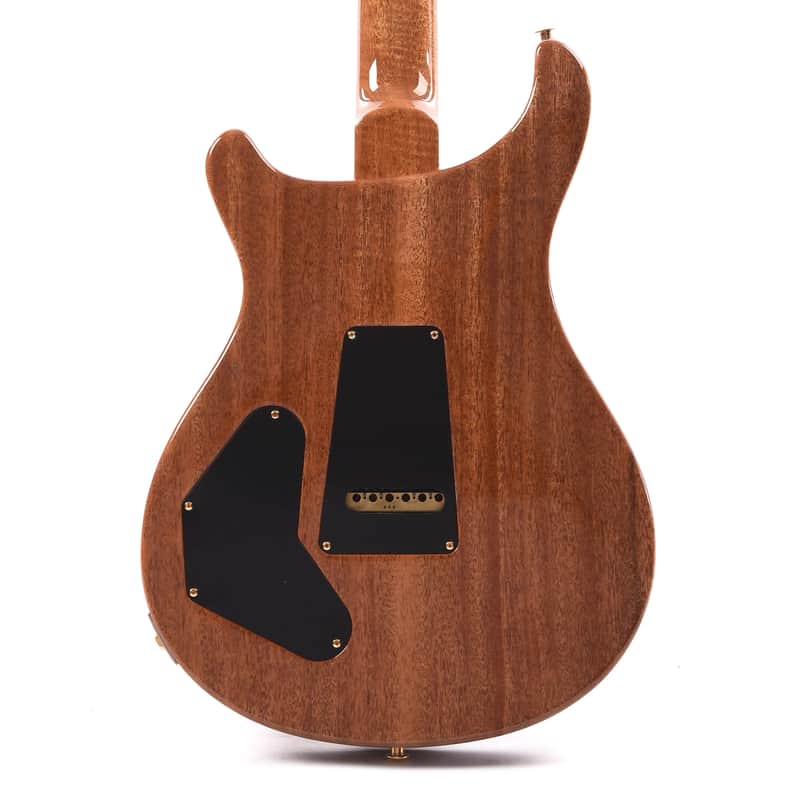 PRS DGT David Grissom Signature Wood Library image 4