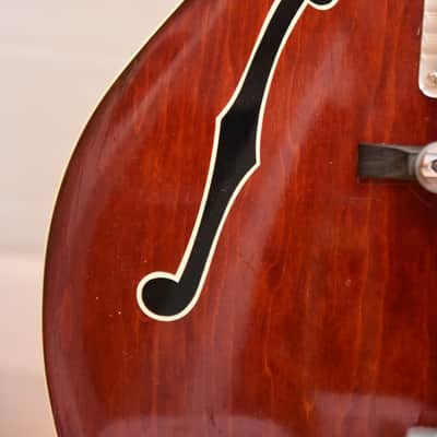 Gretsch 6119 Chet Atkins Tennessean Model – 1966 made in USA Hollowbody Guitar Bild 9