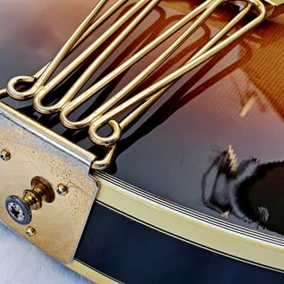 Gibson Byrdland 1977 image 9