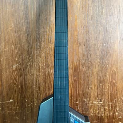 Casio DG-20 Digital Guitar Synthesizer image 2