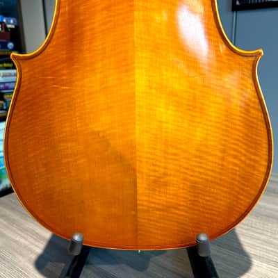 Student Cello: 1/2 Cello - Segue Concertino Plus 2016 - Oil varnish image 8