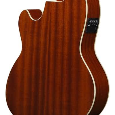 Ibanez Talman TCY10E Acoustic-Electric Guitar - Sea Foam Green image 9