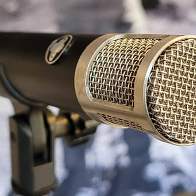 Stirling Audio ST31 FET Hypercardioide Condenser Microphone Mic ST31 2020 for Vocals Guitars Drums etc image 1
