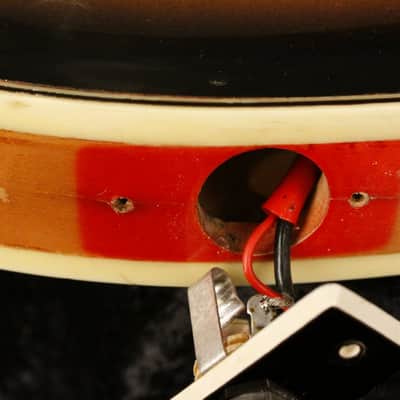 Immagine Ampeg/Burns TR2 solid carved top/back 1963-64 Sunburst - 23
