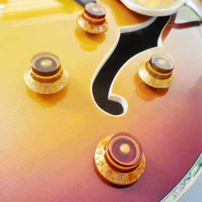 Samick 2001 HJS-650/TR Artist Series Archtop Electric Hollow Body Guitar in Sunburst w/Case image 8
