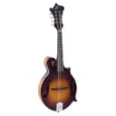 The Loar Model LM-590-MS Hand-Carved Contemporary F-Style Solid Wood Mandolin
