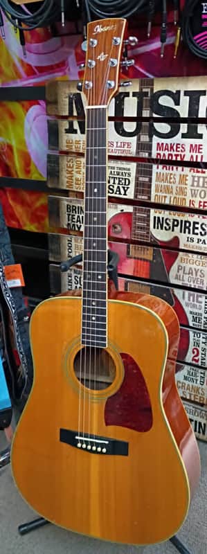 Ibanez Artwood AW Series Dreadnought 1996 - Natural image 1
