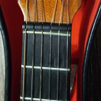 1962 Epiphone EC100 Seville Classical Guitar Kalamazoo Michigan image 19