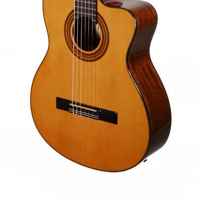 Ibanez GA6CE-AM Classical Cutaway Nylon String Acoustic Guitar 2026 - Natural Gloss Finish image 7