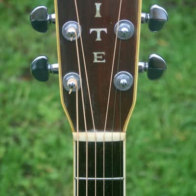 1976 Takamine Elite TW100 Jacaranda Body Natural+Vintage Hard Case image 7